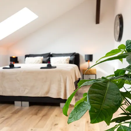 Sweethome - Zentral - Kueche & Parkplatz, Wifi