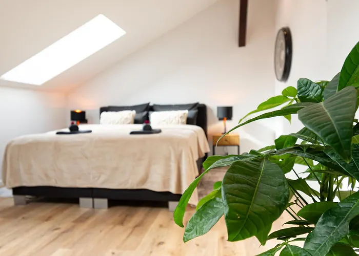 Sweethome - Zentral - Kueche & Parkplatz, Wifi